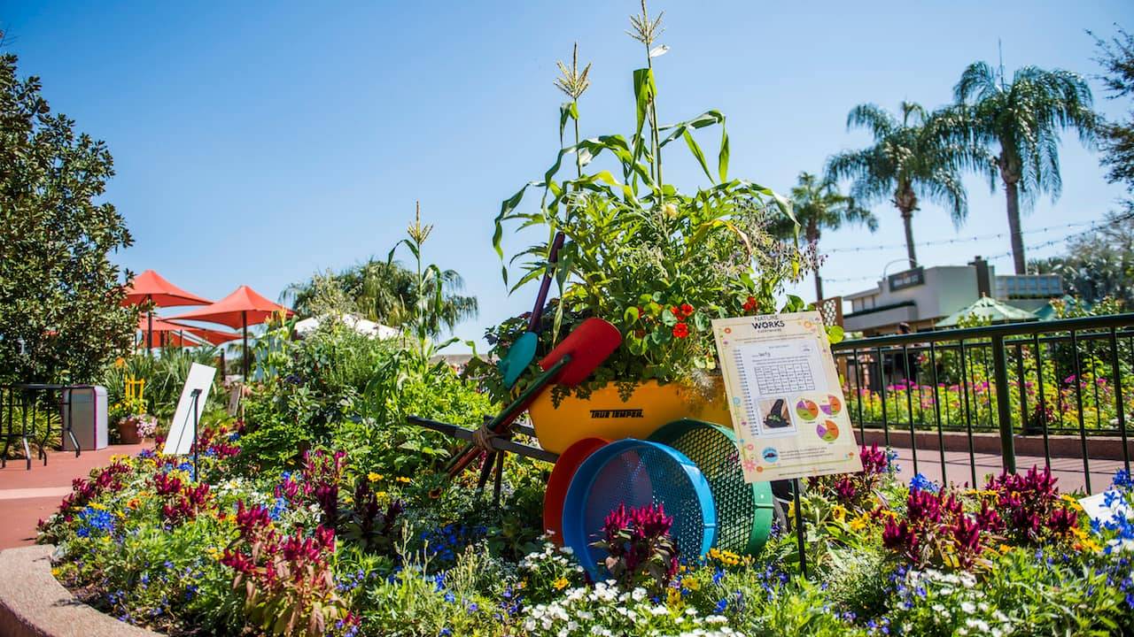 A Whimsical Disneyinspired Backyard Hgtv