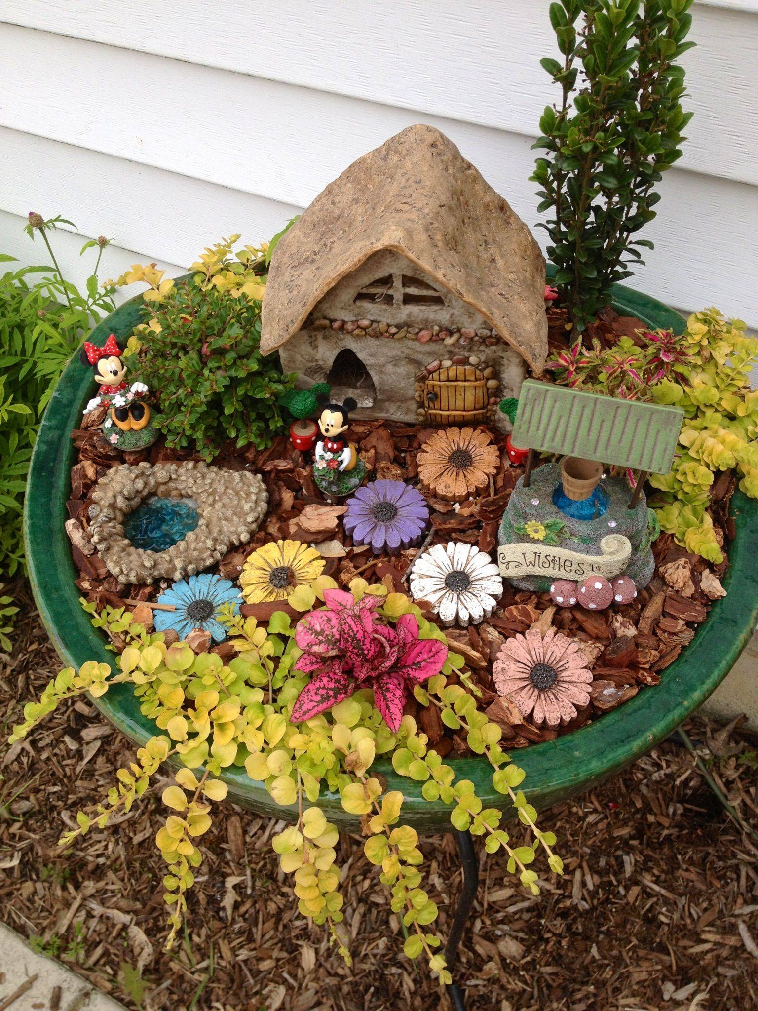 Downtown Disney Container Garden Ideas