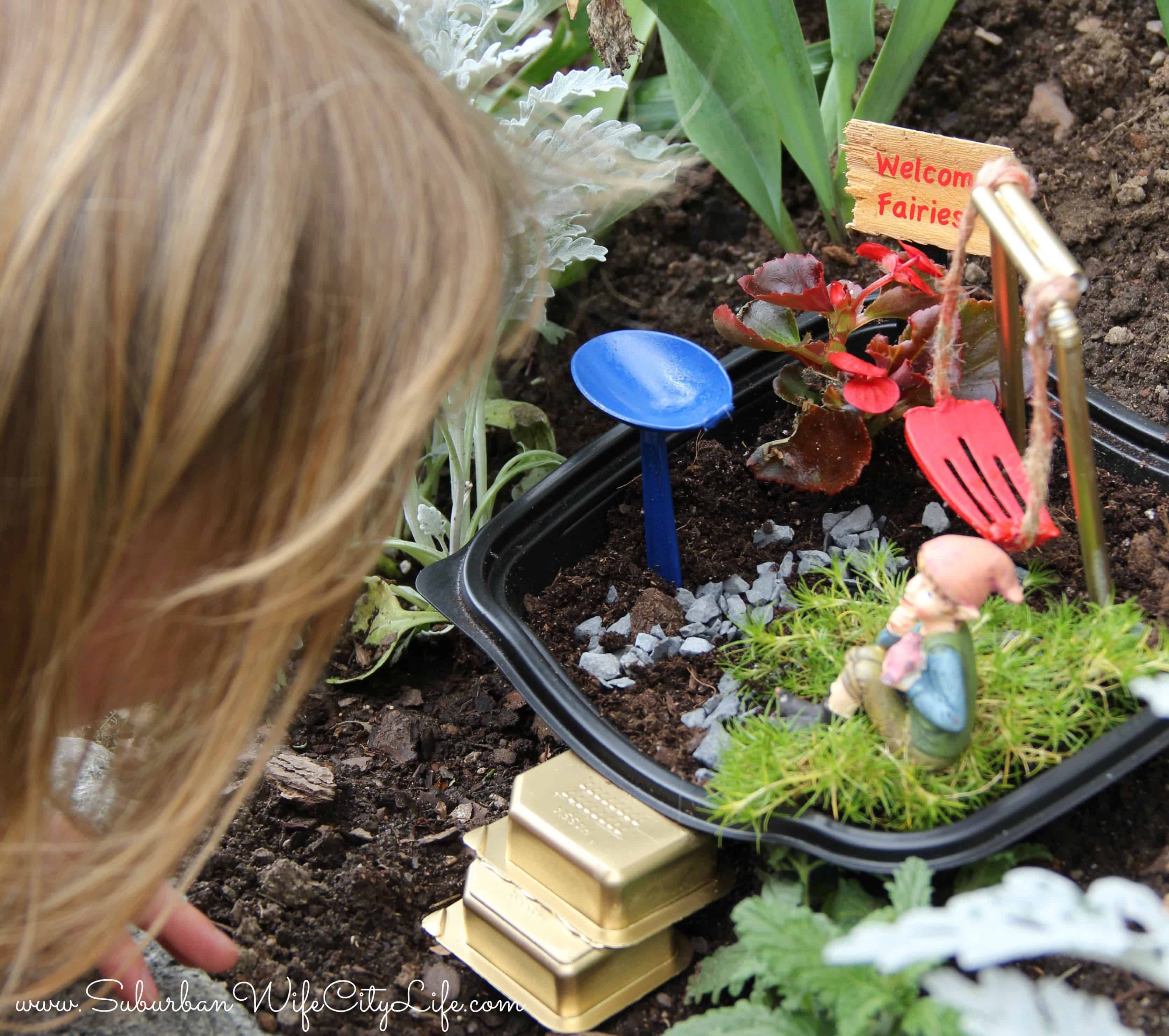 Miniature Fairy Gardens
