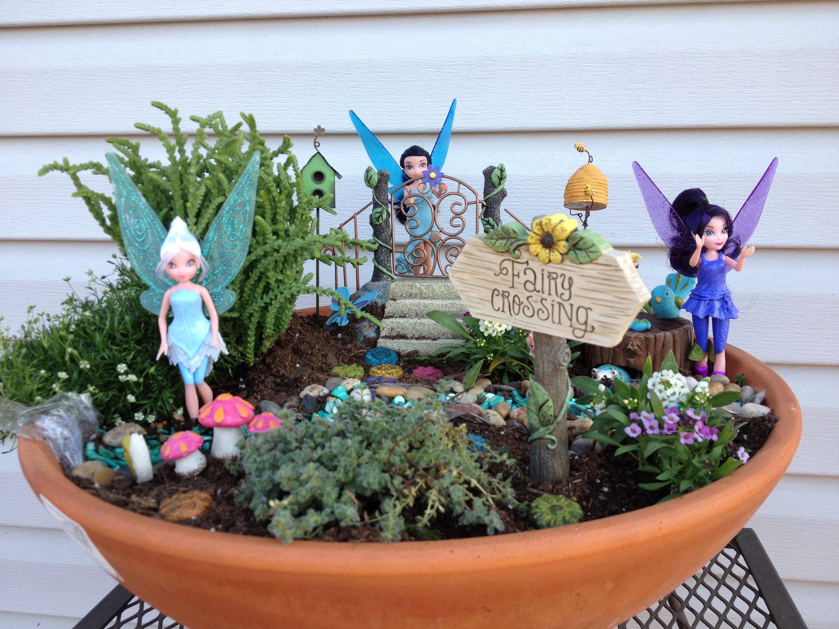 Butterfly Garden
