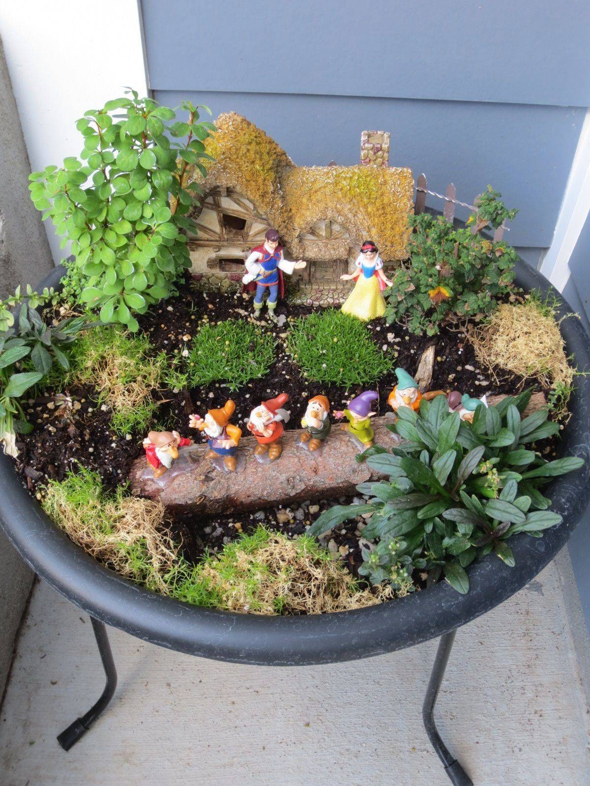 Delightful Life Fairy Garden