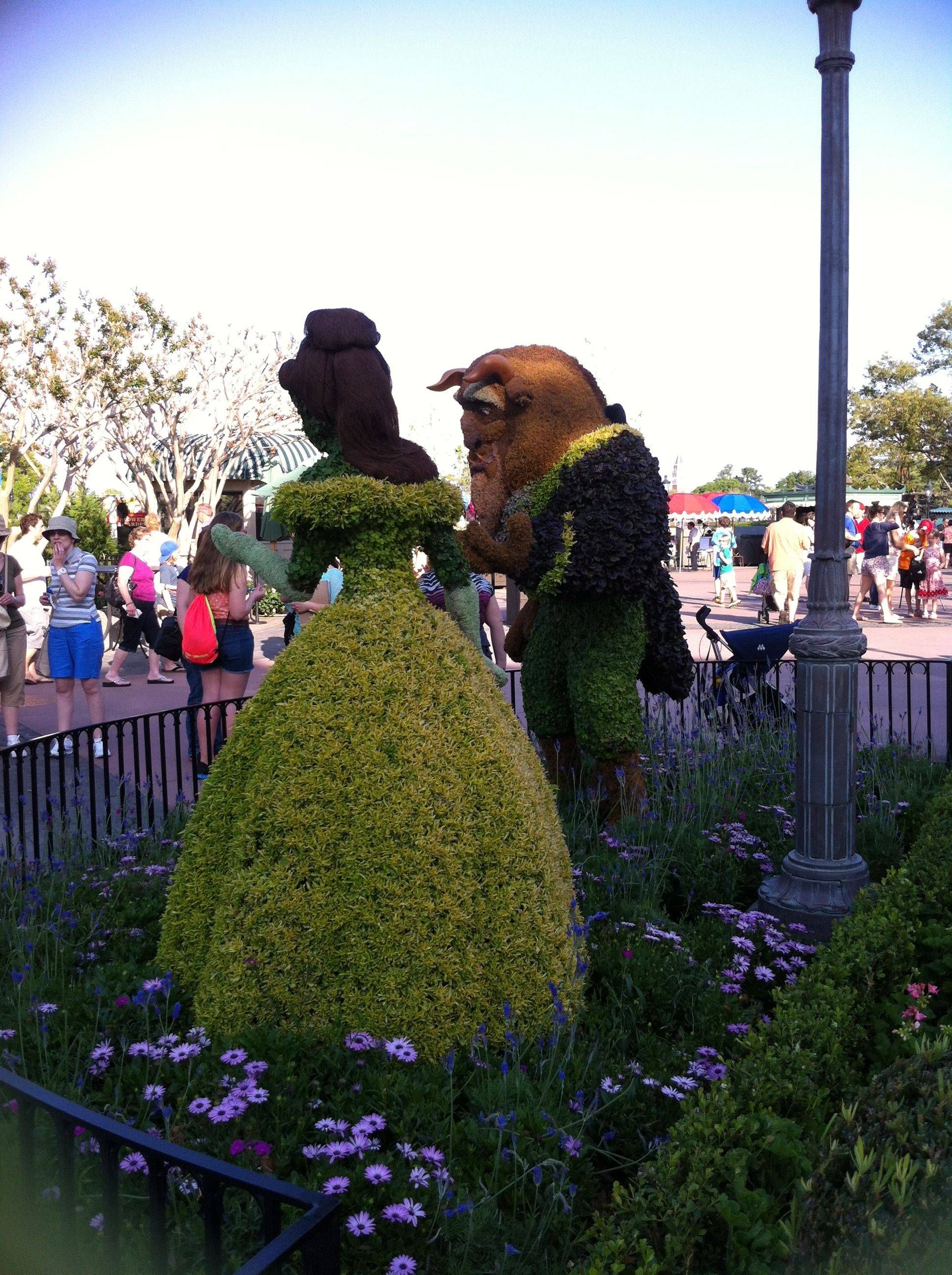 Downtown Disney Container Garden Ideas