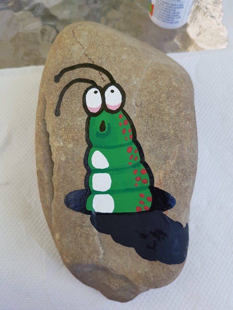 Garden Rock Caterpillar