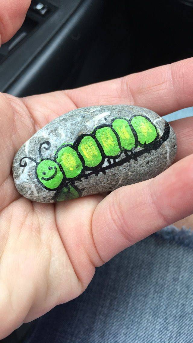 Garden Rock Caterpillar Little Regent Nursery