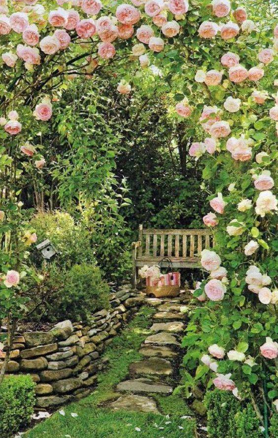 Garden Tips