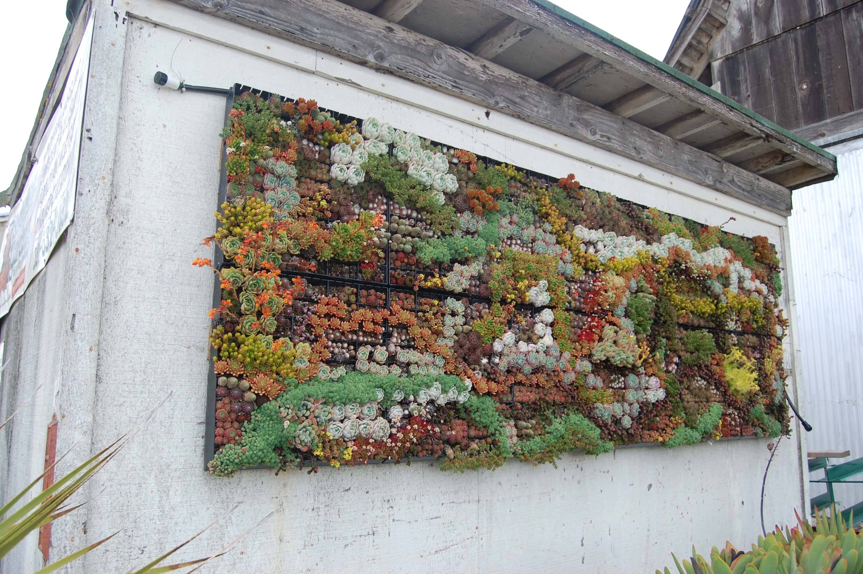 Amazing Outdoor Wall Decor Ideas