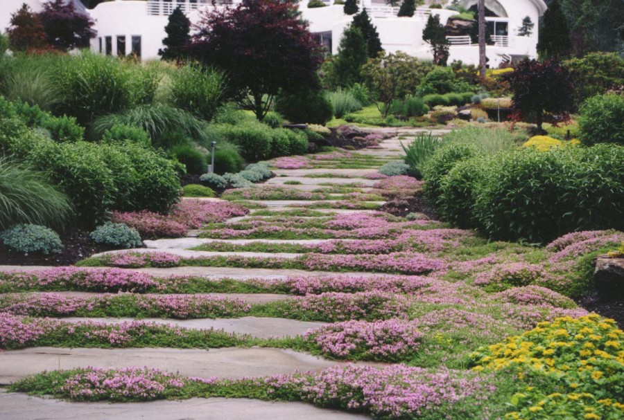 Diy Concrete Stepping Stones