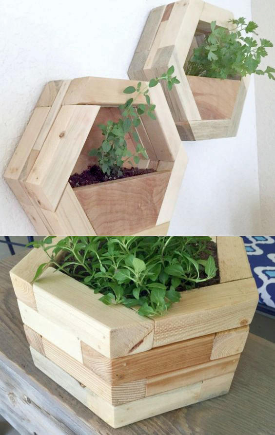 Best Creative Garden Container Ideas