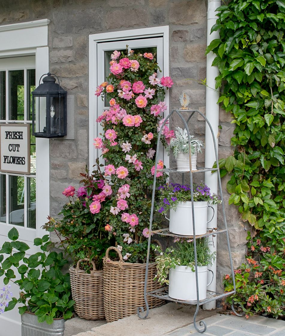 More Unique Garden Containers
