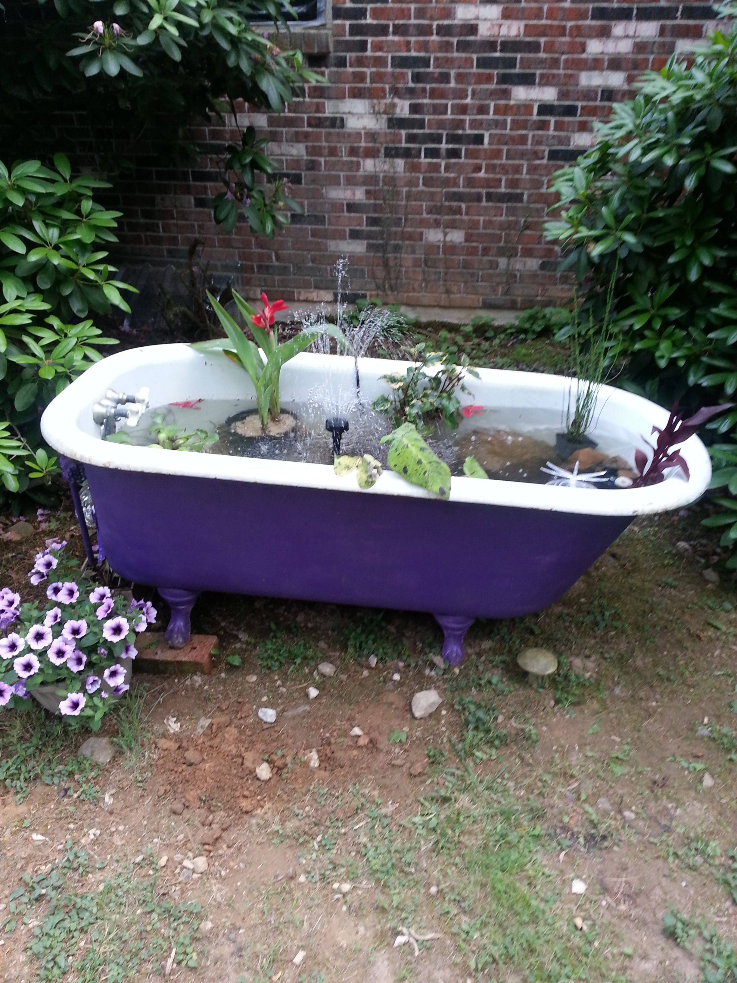 Pretty Container Garden Ideas
