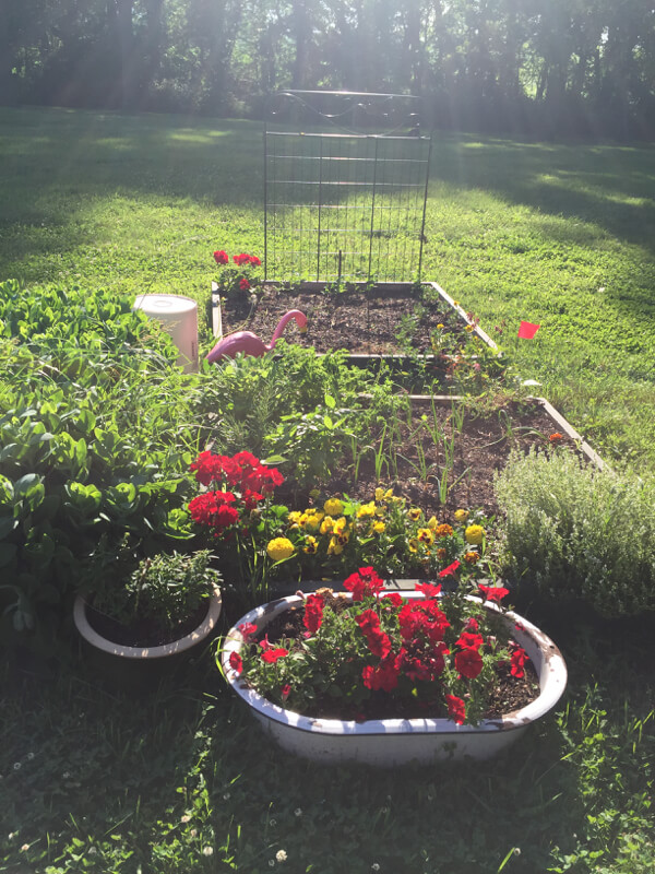 Best Repurposed Garden Container Ideas