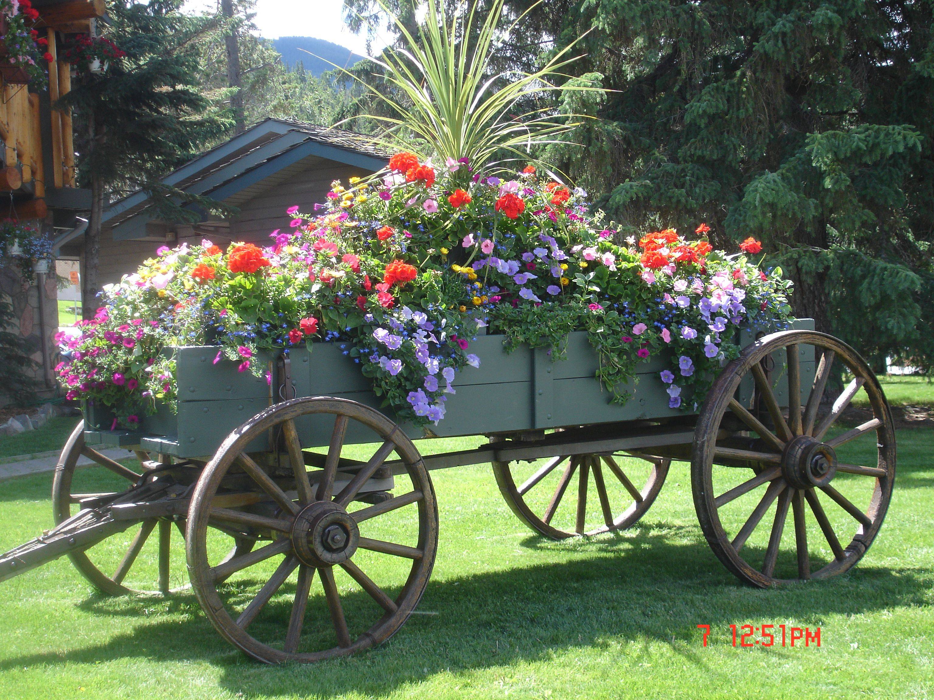 24 Garden Cart Ideas You Cannot Miss SharonSable