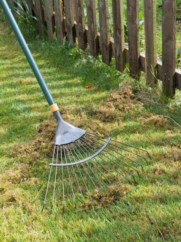 A Rake