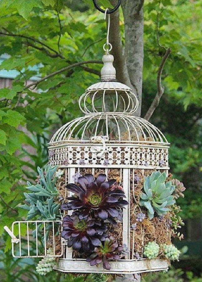 A Container Garden