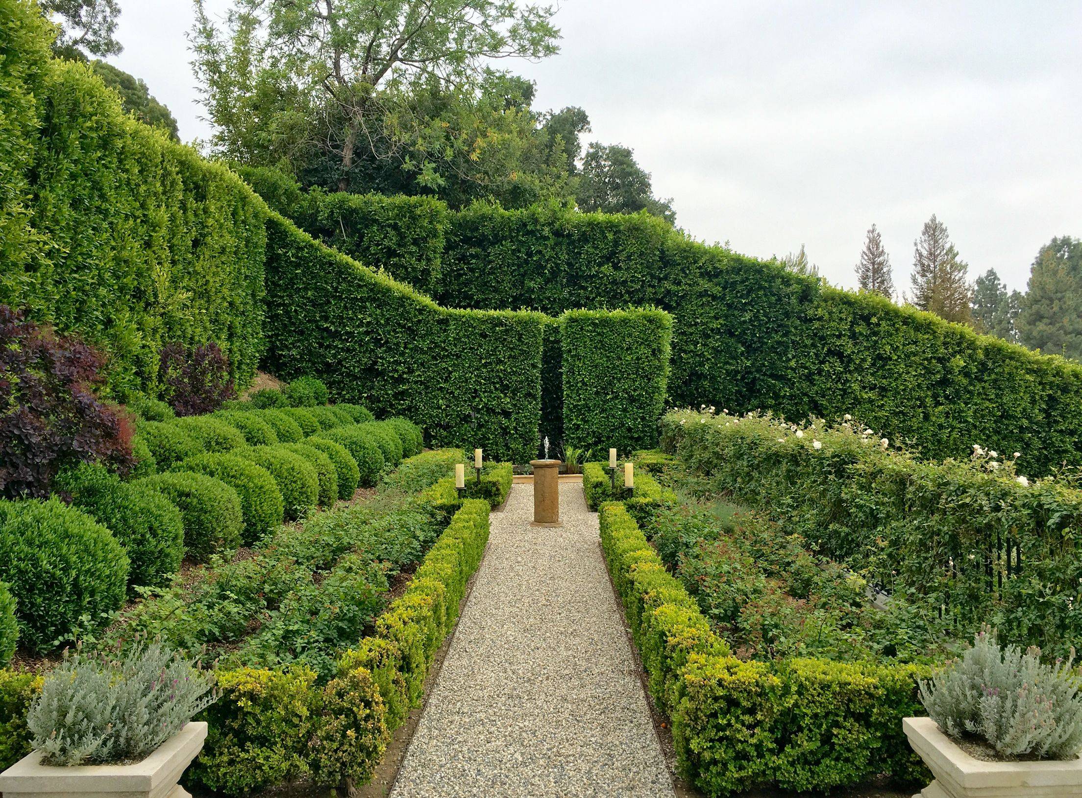 Mediterraneaninspired Garden Hedge Plants Designs