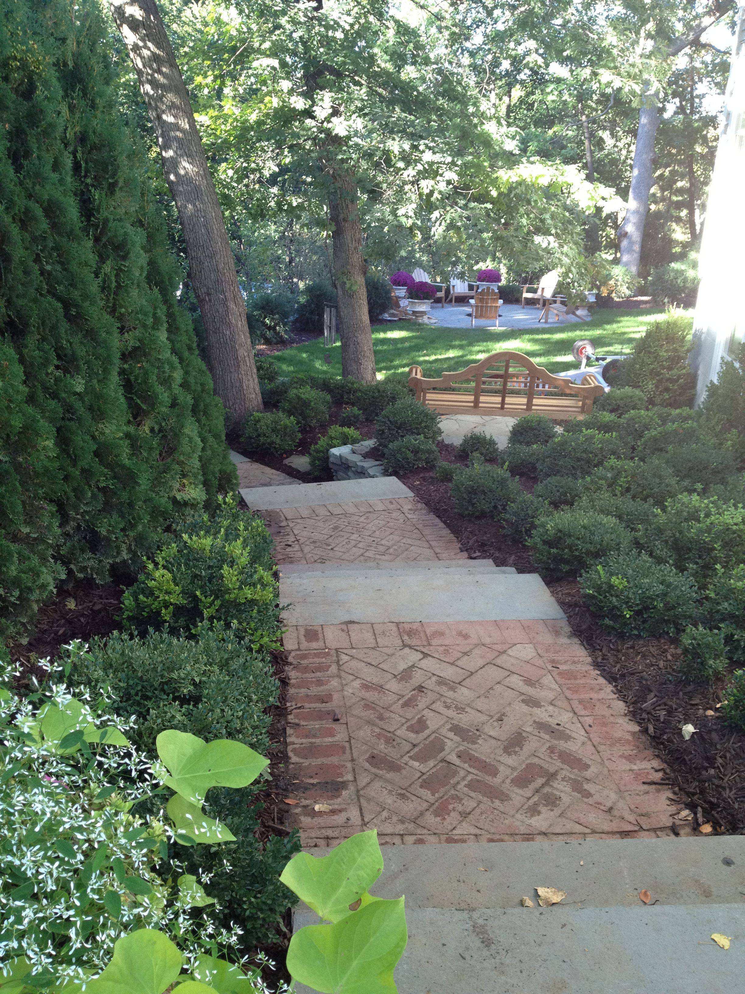 Mediterraneaninspired Garden Hedge Plants Designs