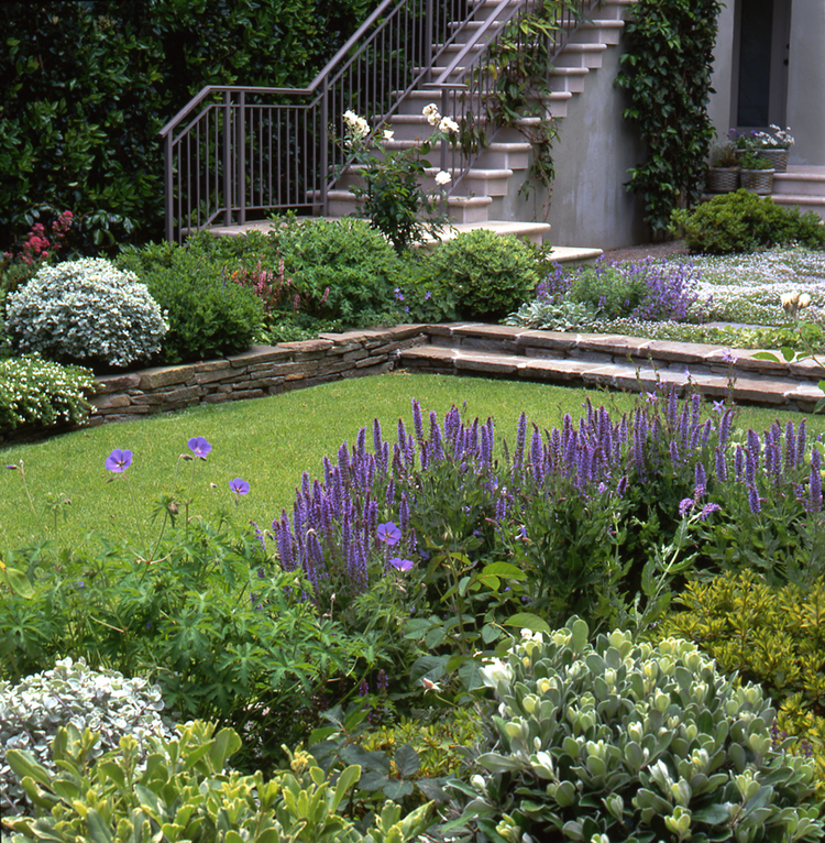 Elizabeth Everdell Garden Design Courtyard Gardens Design