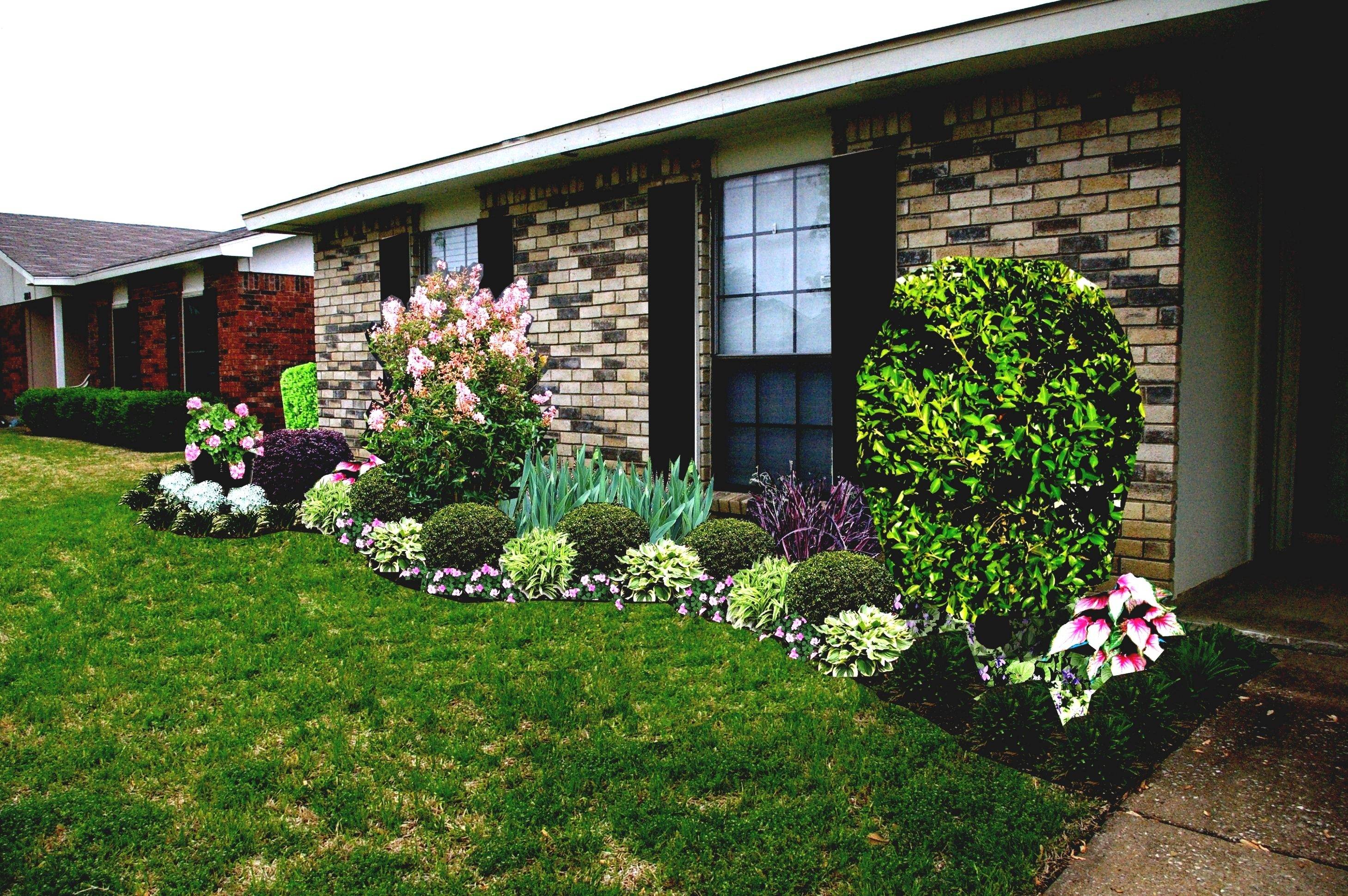 Florida Patio Backyard Curb Appeal Landscaping Ideas