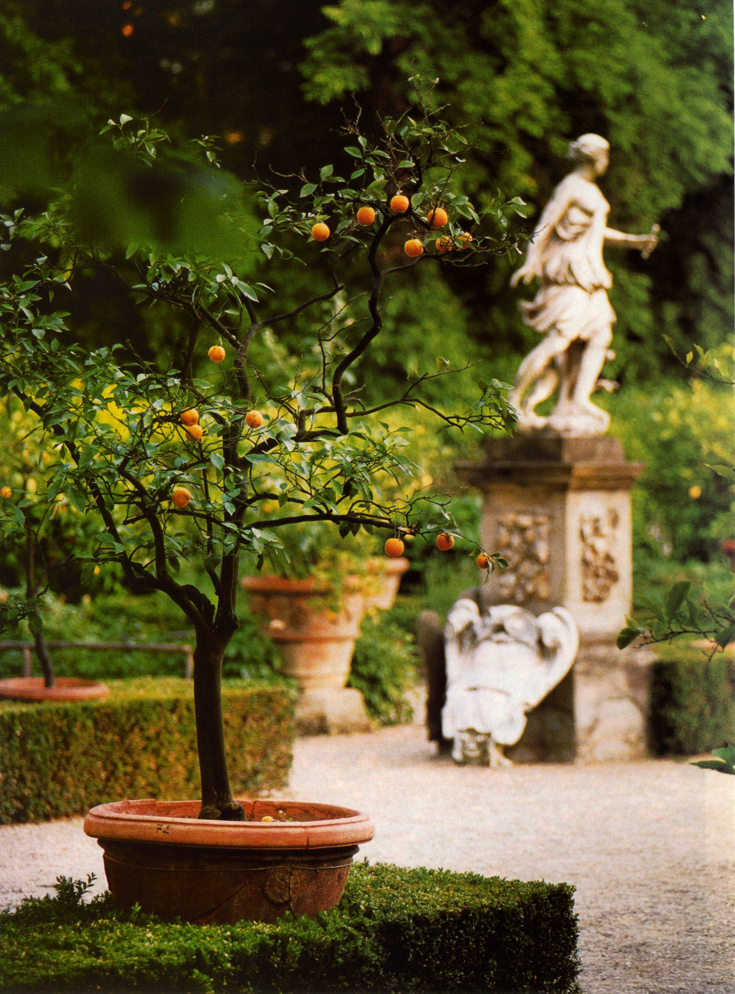 The Italian Renaissance Garden An Iconic Famous Gardens