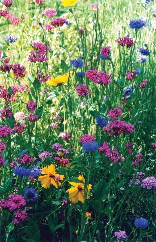 Beautiful Flower Garden Design Ideas Pimphomee Cottage Garden