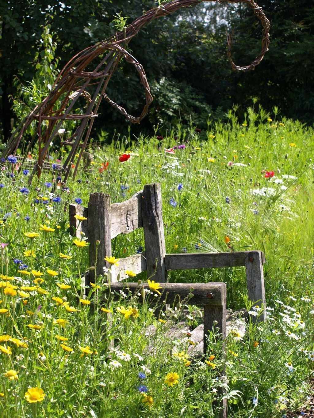 Country Cottage Garden