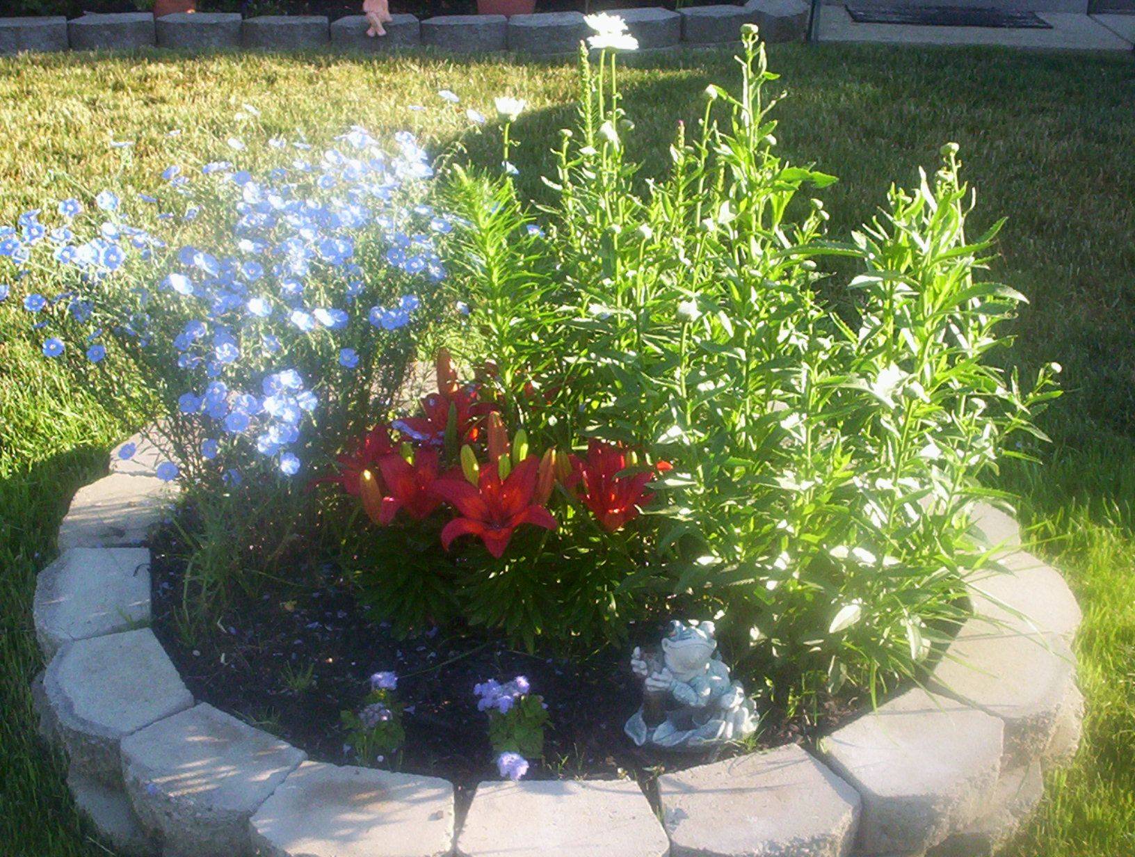 24 Wildflower Garden Bed Ideas To Consider SharonSable