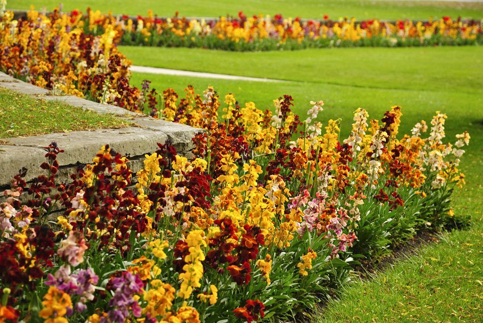 The Round Garden Edging Ideas