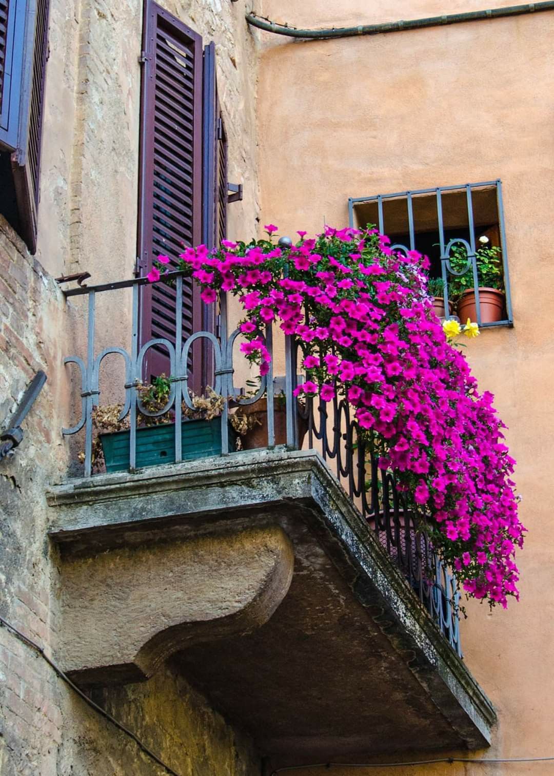 The Tuscan Sun