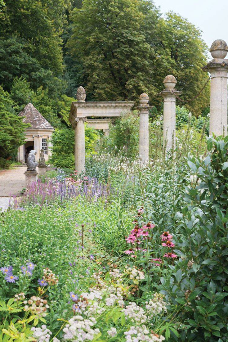 David Austin English Roses