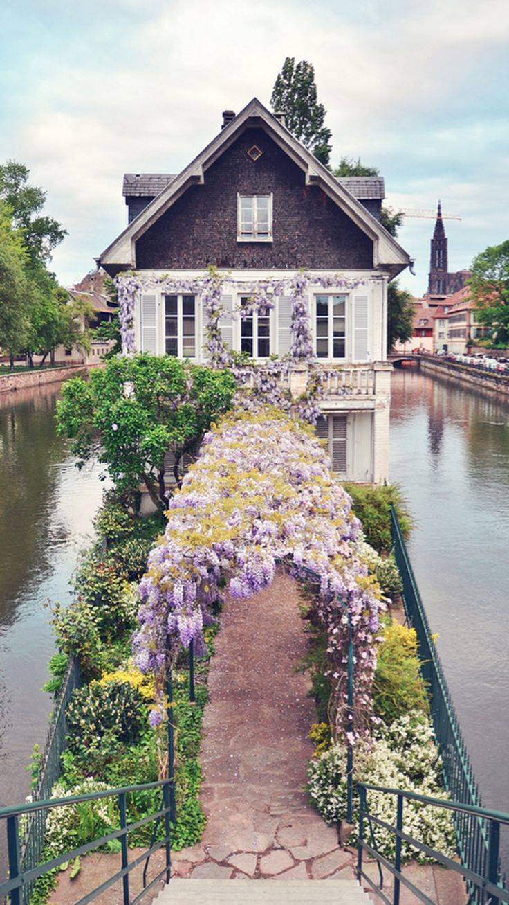 An Elegant French Garden