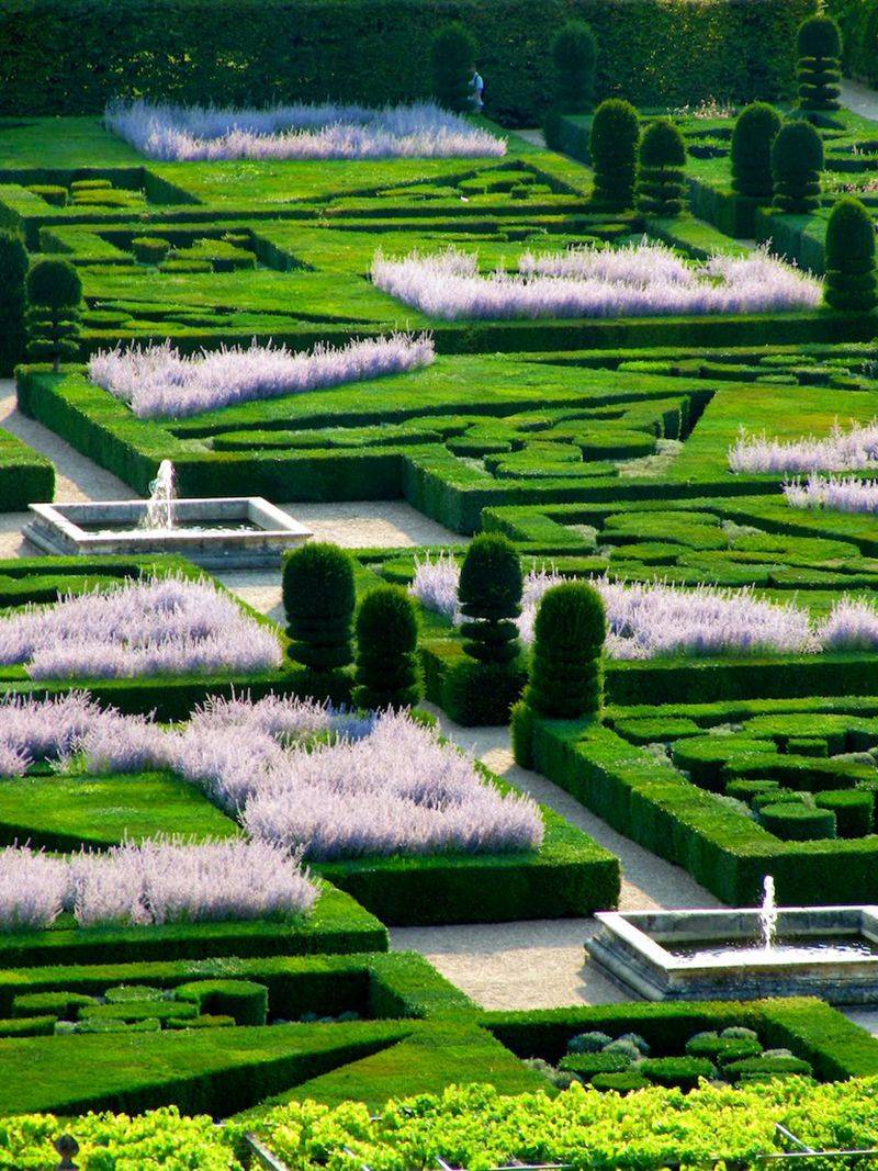 Planting Flowers
