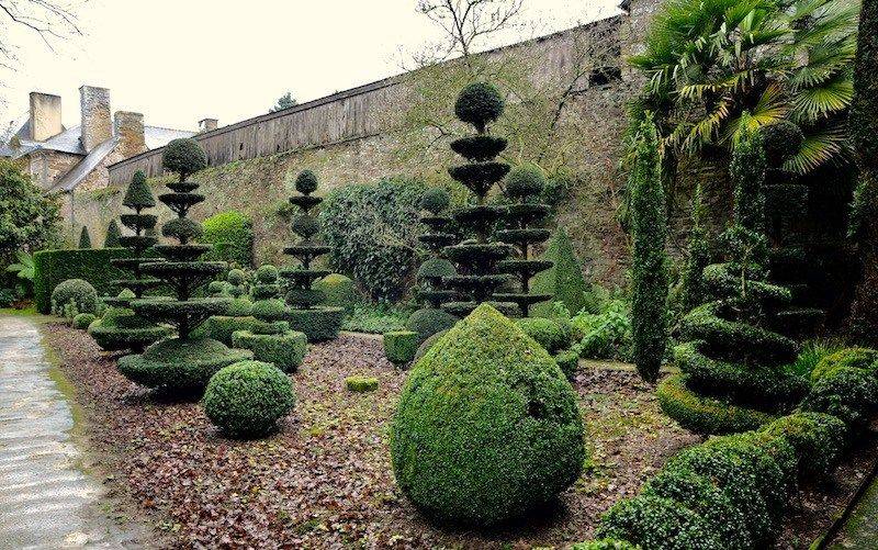 Gardeningyard Ideas