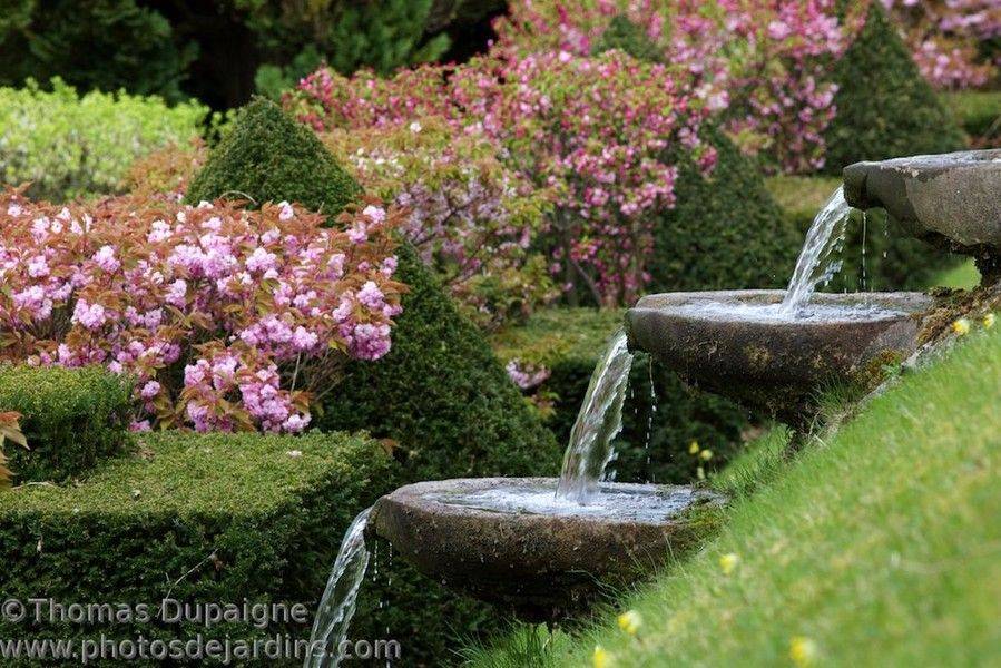 Thomas Dupaigne Photographe De Jardins