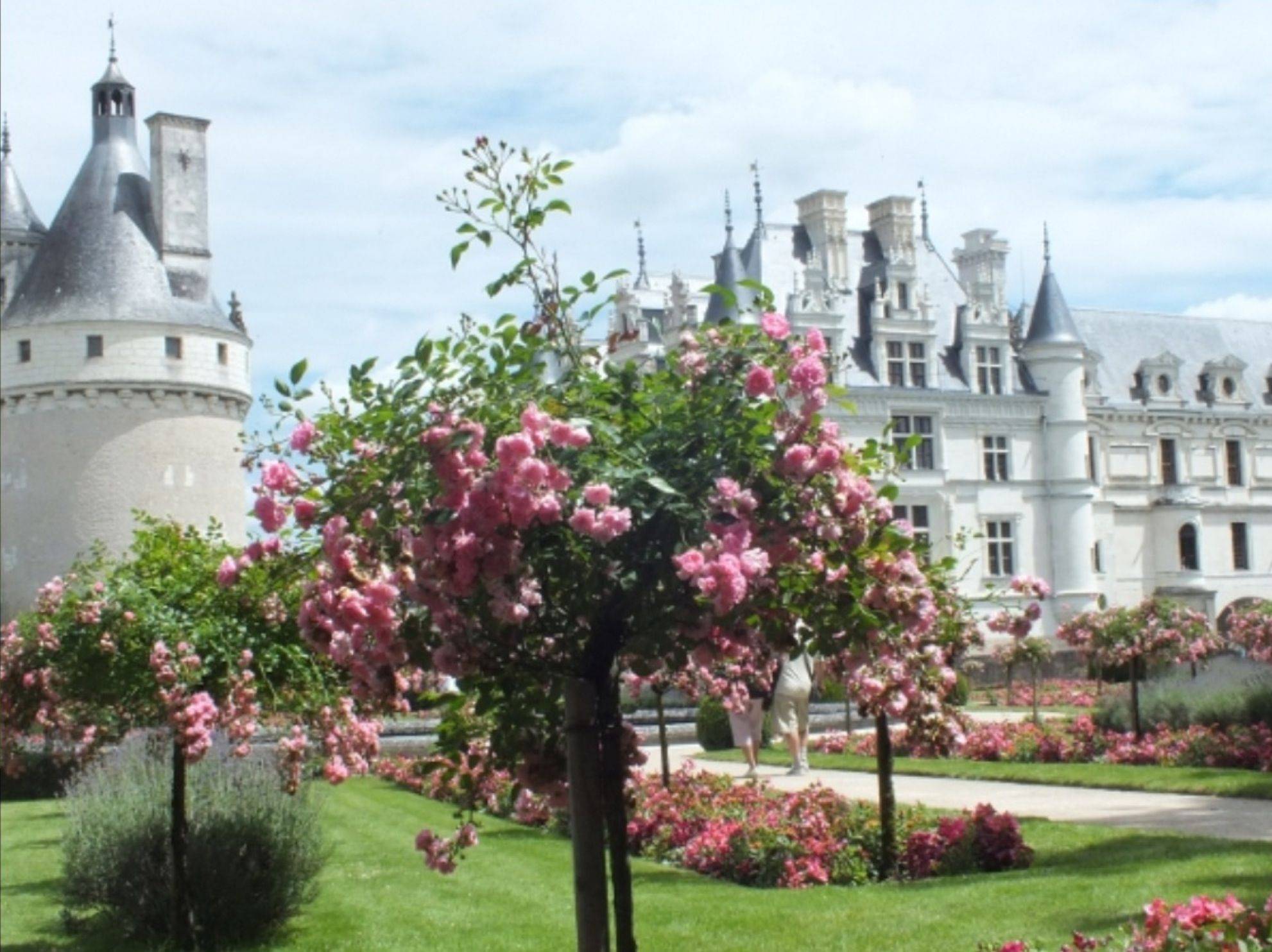 Chateau Chenonceau Loire Valley France French Garden Design Ideas