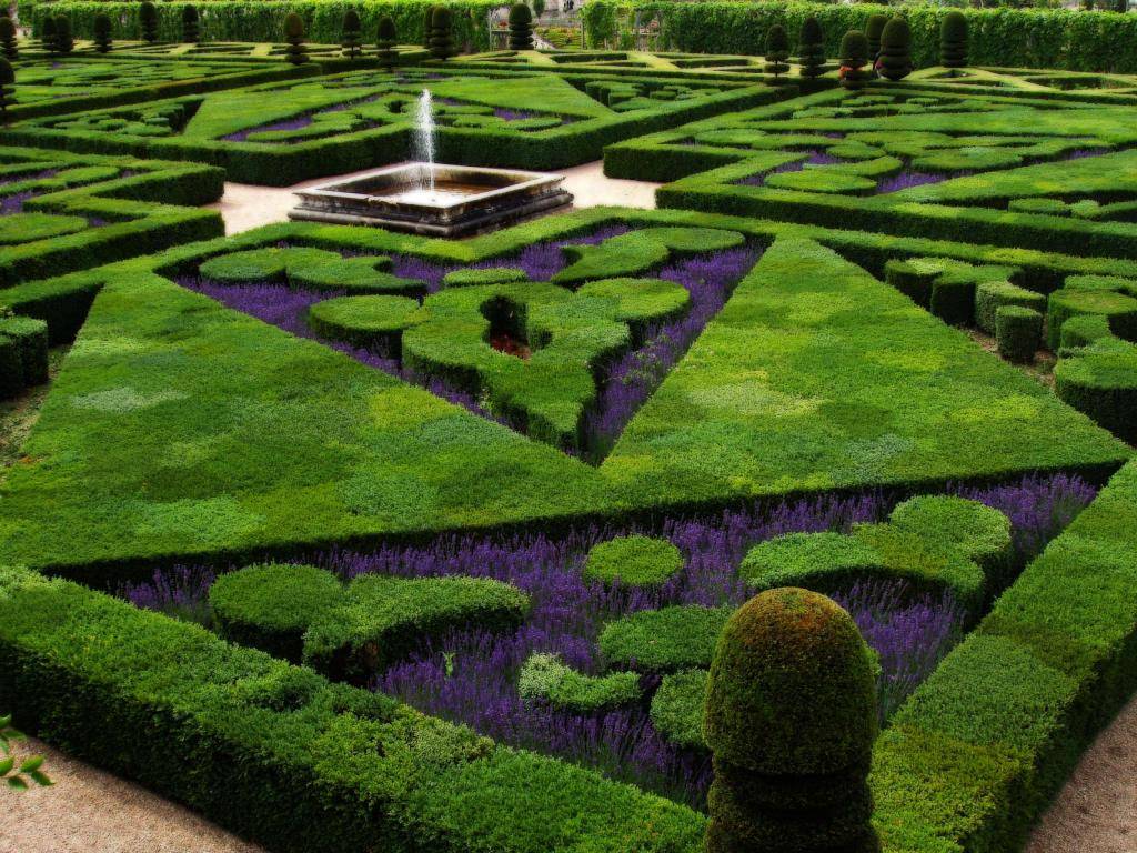 Classic French Garden Chateau Chenonceau Loire Valley France Decoration