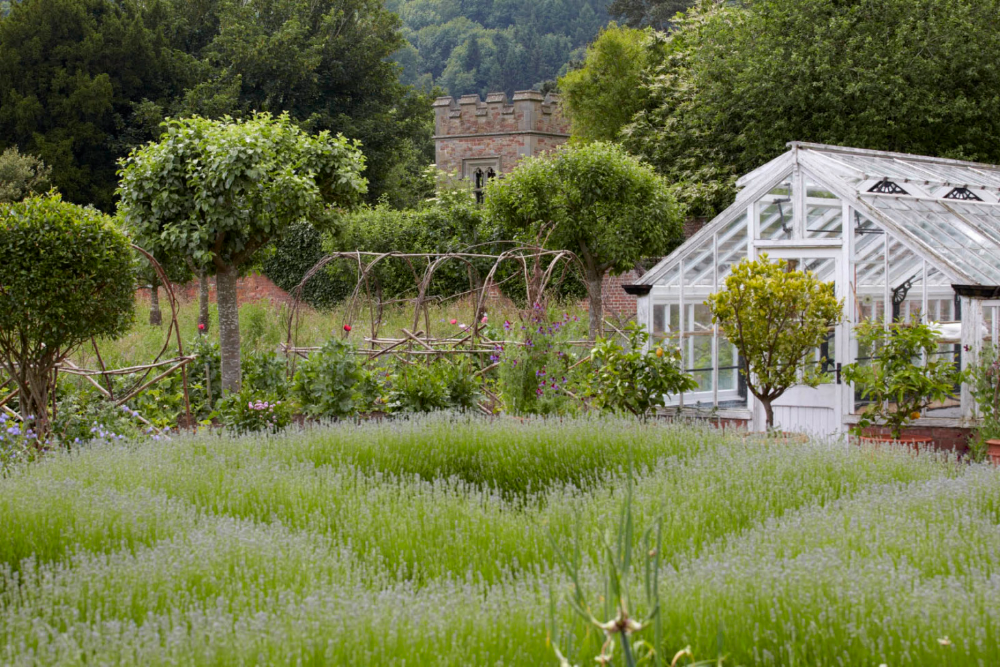 France Gardenista
