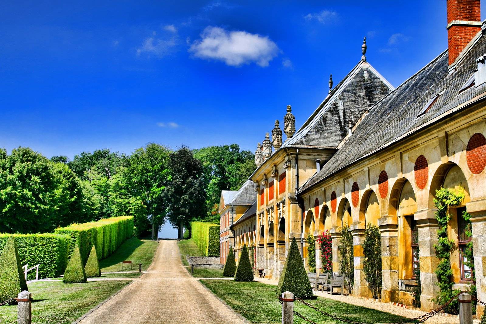 A Garden