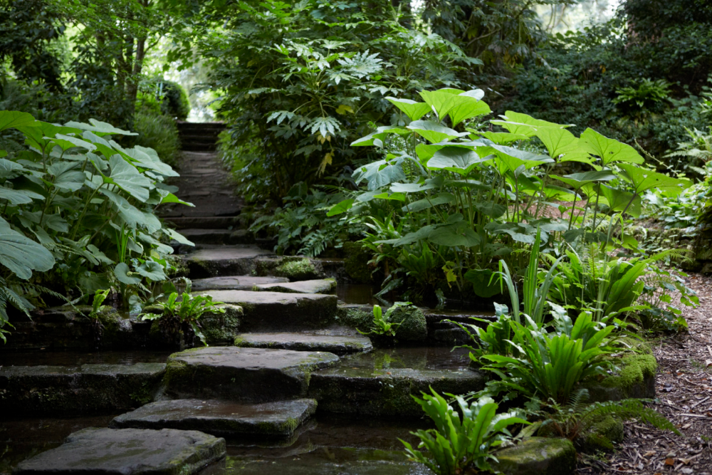 Beautiful French Garden Designs