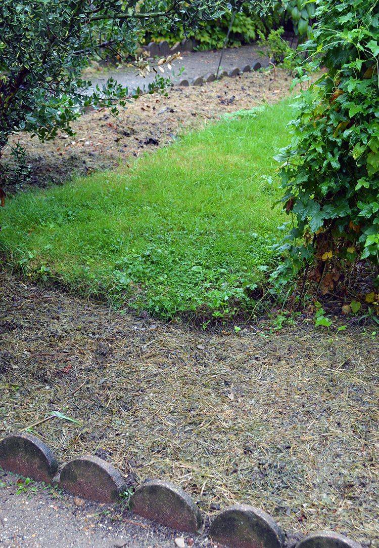 France Gardenista