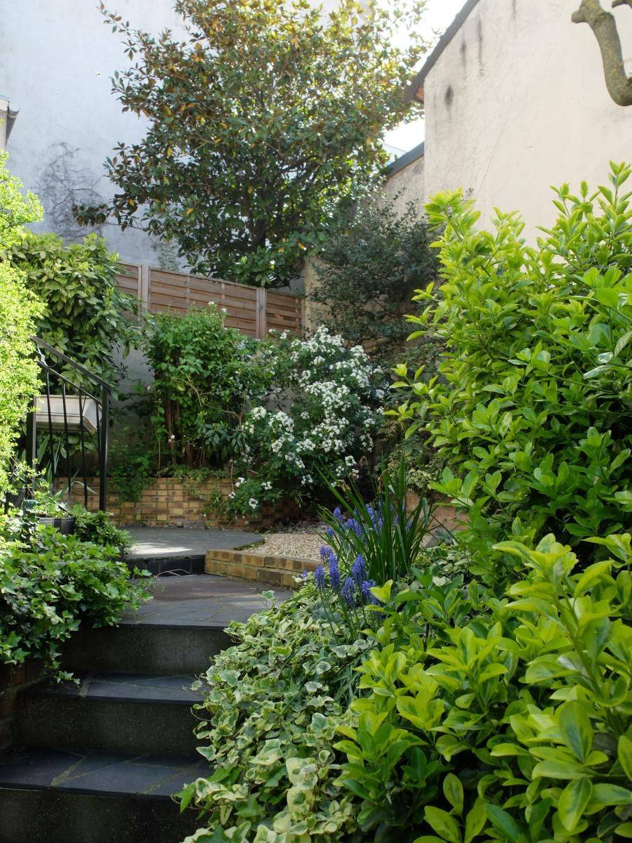 Kathy Browns Garden