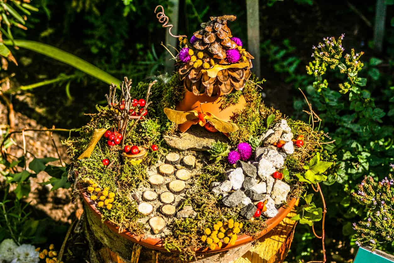 A Bonsai Tree Fairy Garden