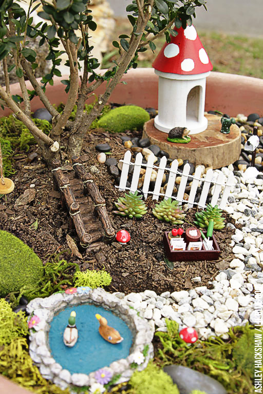 A Bonsai Tree Fairy Garden