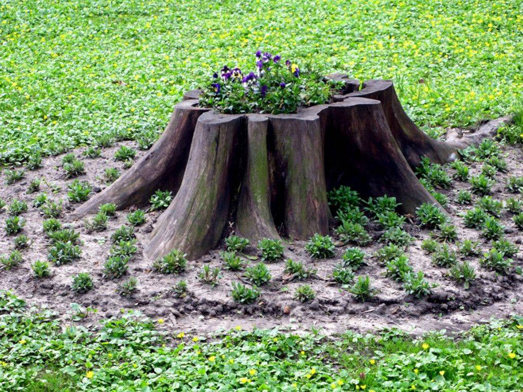 Tree Stump Planter