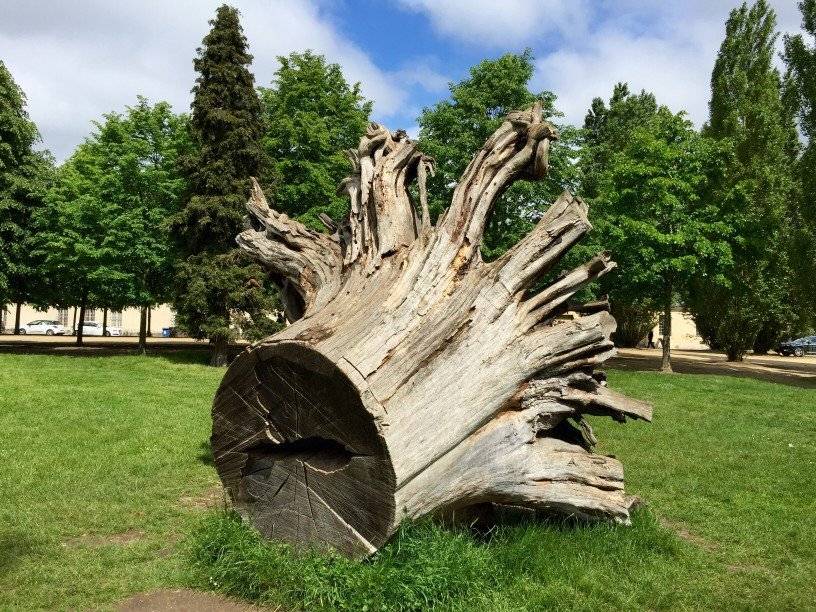 Backyard Projects