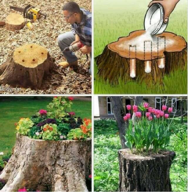 Tree Stump Ideas