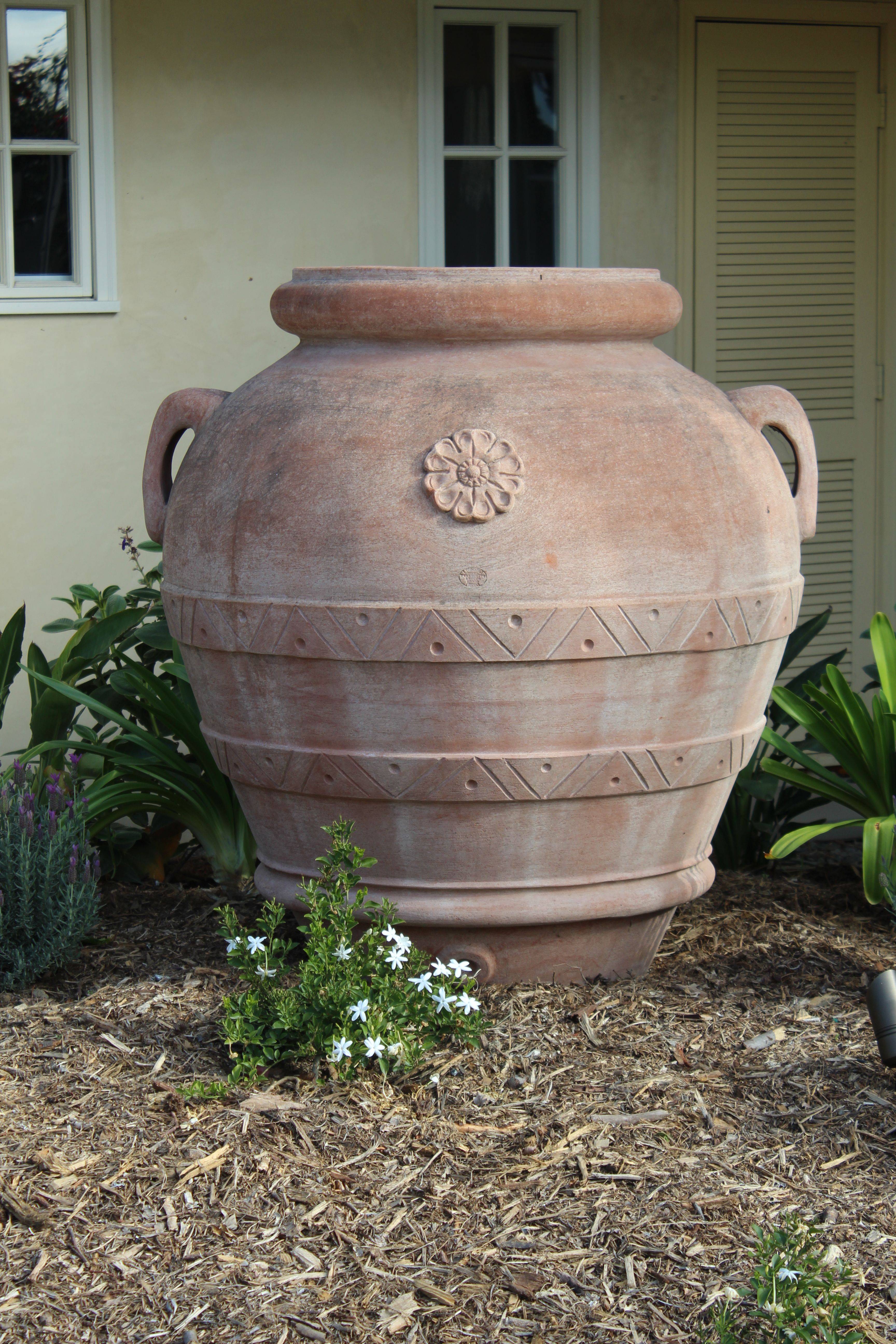 Collections Bergs Potter Boho Garden Ideas