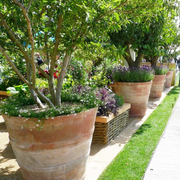 Italian Round Terracotta Planters A Pair