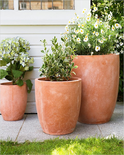 Exceptionally Large Terracotta Pots