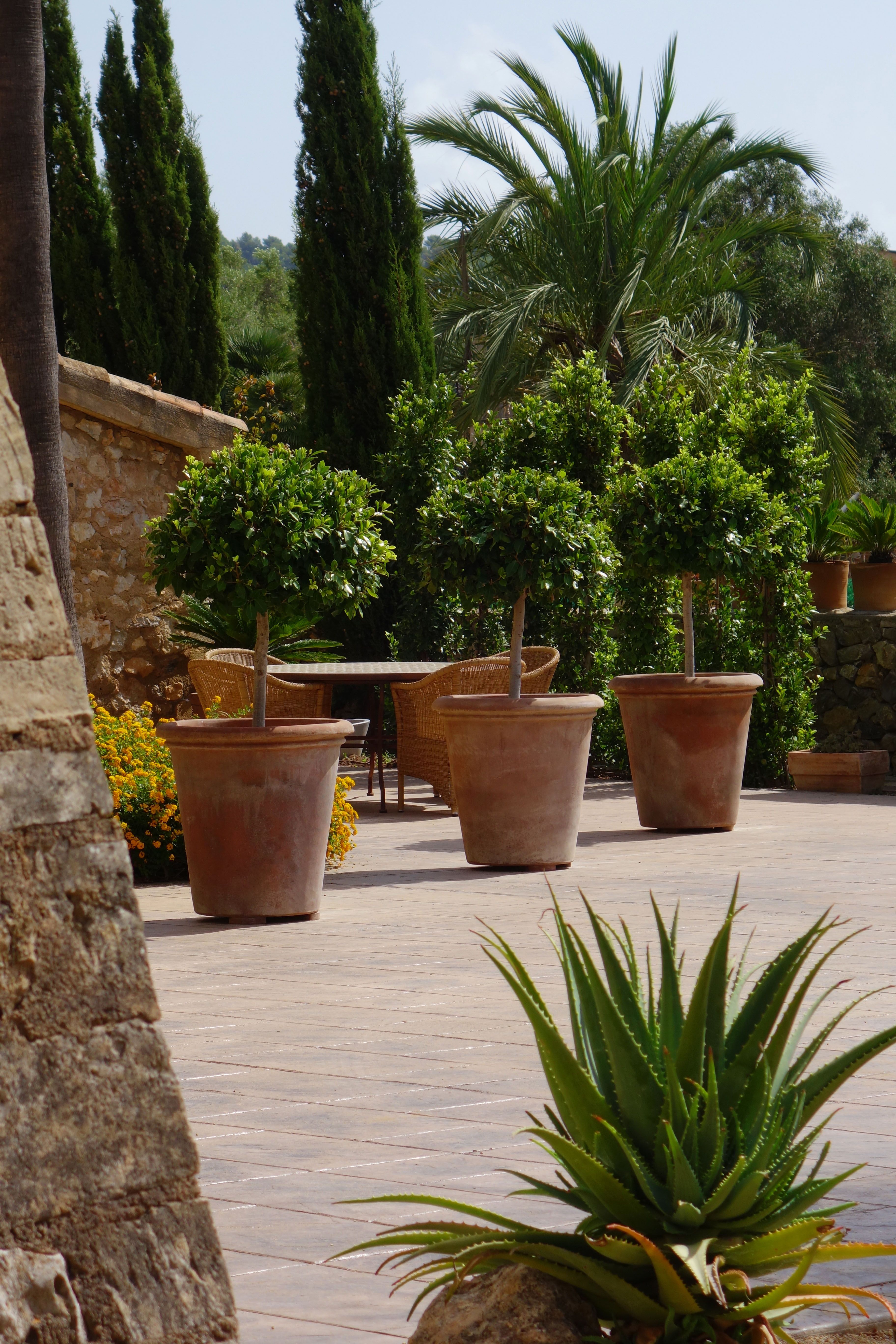 Container Gardening