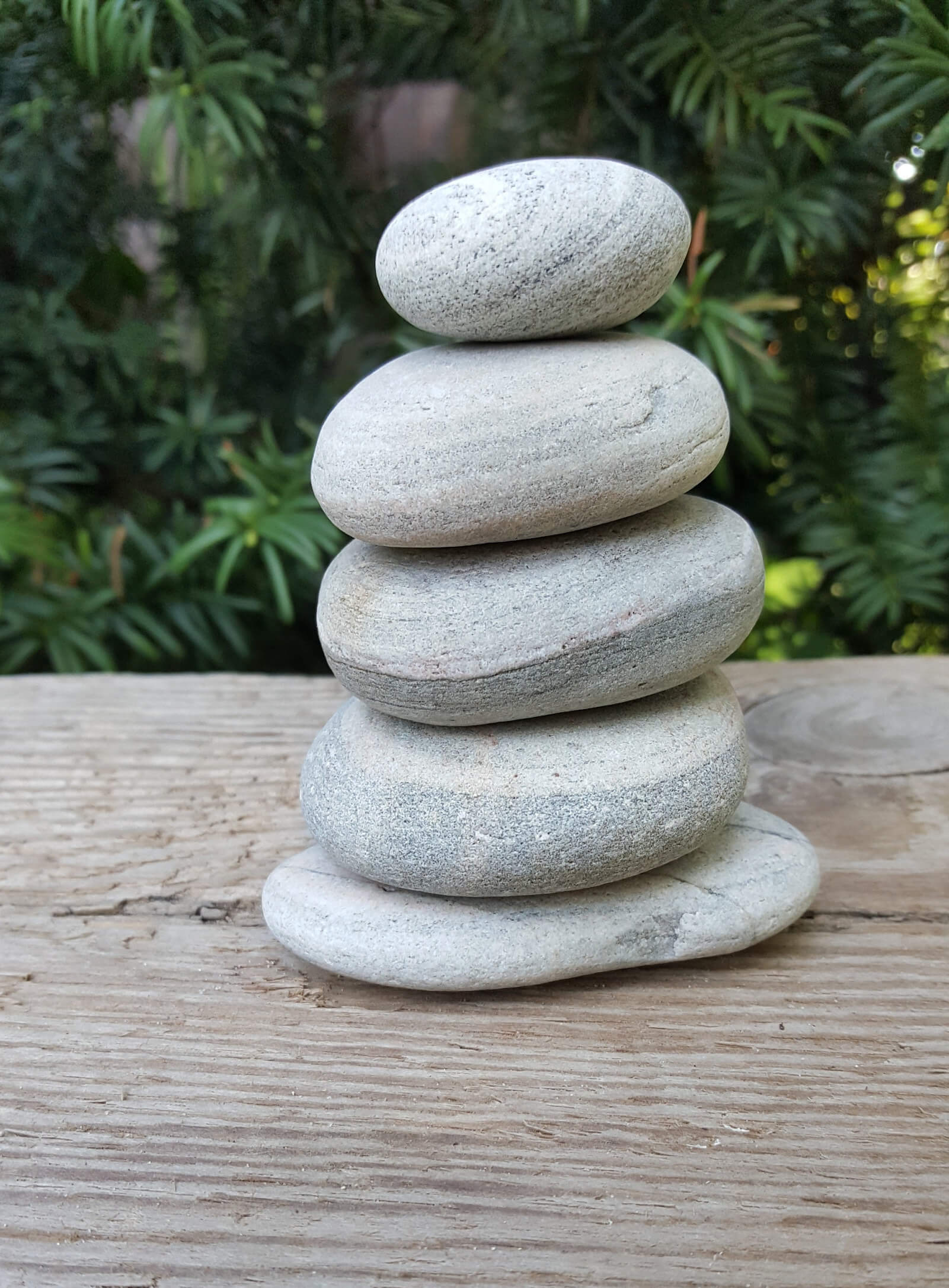 Simple Rock Garden Decor Ideas